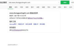 网站收录,提升搜索引擎排名与网站流量的实用指南