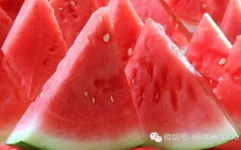 瓜家人在洛杉矶娱乐吃瓜号,瓜家人吃瓜大揭秘