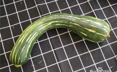 北瓜的做法,家常做法与创意料理全解析