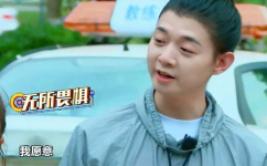 娱乐吃瓜王大锤,揭秘娱乐圈幕后风云