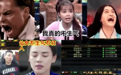 娱乐吃瓜喵姐视频大全免费观看,免费观看视频大全，带你畅游娱乐圈