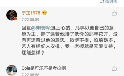 娱乐圈吃瓜专用网站,揭秘那些不为人知的幕后故事