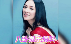 娱乐吃瓜旗下艺人有哪些,旗下艺人阵容大揭秘