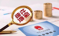 2020年社保补缴新政策,权益保障与操作指南