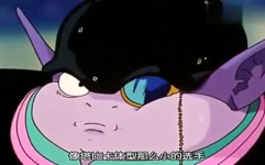 娱乐吃瓜喵喵,揭秘娱乐圈那些不为人知的幕后故事