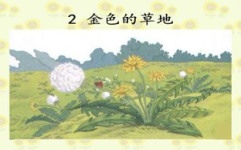 金色的草地ppt,金色的草地奥秘解析