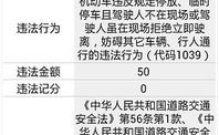 四川电子警察违章查询,实时掌握交通违法信息
