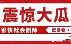 娱乐圈吃瓜帖子大全最新,揭秘明星幕后故事与精彩瞬间