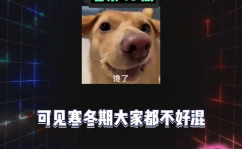 娱乐八卦在线吃瓜,明星幕后故事大曝光！
