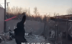 杭州地铁遇大客流有新招红米改观！此日一口吻揭橥四款新品：手机、札记本都有了-华为揭橥三款崭新札记本产物：性能设备完善-及人为验票7700余张