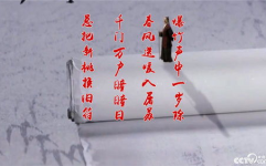 王安石 百家讲坛,变法家与文学巨匠的传奇人生