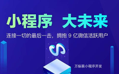 小程序开发公司小程序开发公司,打造个性化移动应用解决方案