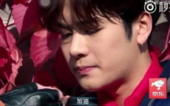 吃瓜娱乐圈王嘉尔是谁,娱乐圈的瓜中明星