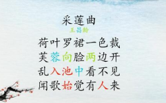 夏的诗句,古风新语中的炎炎夏日