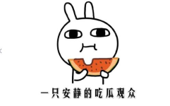 吃瓜网热门事件,揭秘近期热门事件背后的真相与争议