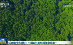 三分钟速览《新闻联播》20200722国际新闻