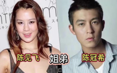 娱乐圈 亲姐弟,共筑星途，情比金坚