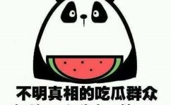 吃瓜娱乐日常,揭秘娱乐圈幕后故事与热点动态