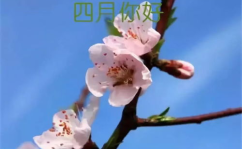 三月再见四月你好唯美图片,三月再见，四月你好