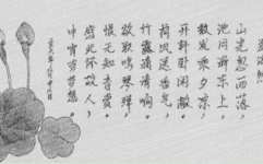 夏的诗句,古风新语中的炎炎夏日