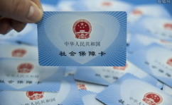 2020年社保补缴新政策,权益保障与操作指南