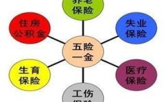 五险是哪五险,揭秘五险具体内容与保障作用”